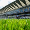 Royal Ascot Preview with 171/1 accumulator tip