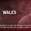 Wales Euro 2016 Preview