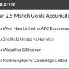 16/1 Match Goals Accumulator Lands on Saturday!