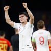 Man Utd bid £70m for Harry Maguire: Check out the latest betting odds on the defender’s next club